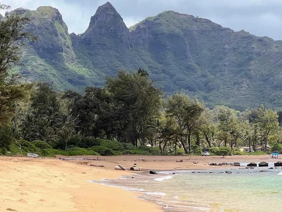 Islander On The Beach 115 Kapa'a
